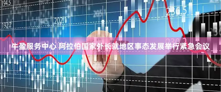 牛盈服务中心 阿拉伯国家外长就地区事态发展举行紧急会议
