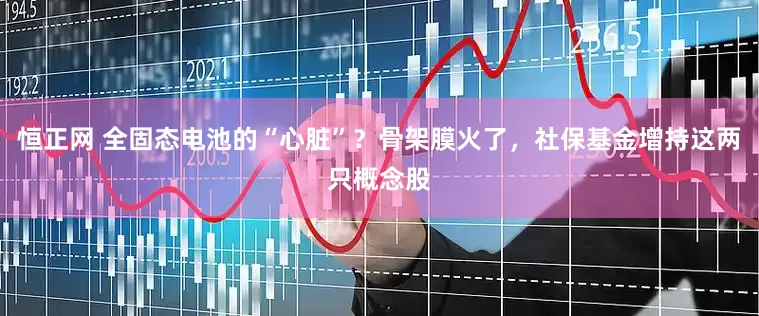 恒正网 全固态电池的“心脏”？骨架膜火了，社保基金增持这两只概念股