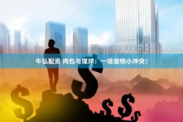 牛弘配资 肉包与煤球：一场宠物小冲突！