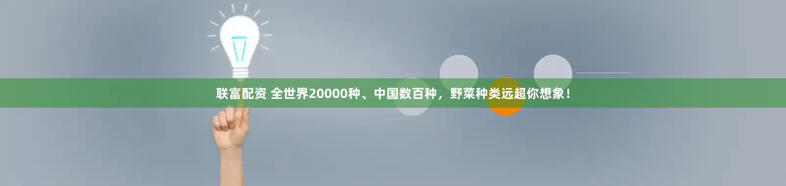 联富配资 全世界20000种、中国数百种，野菜种类远超你想象！
