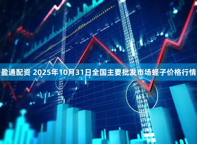盈通配资 2025年10月31日全国主要批发市场蛏子价格行情